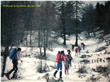  Introduzione allo scialpinismo: salendo a Cima Ventosa - Altro - <2001 - Altro - Foto varie - Voto: 10   - Last Visit: 23/4/2024 15.24.31 