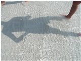  La sabbia del Lido di Alghero - Altro - 2003 - Altro - Foto varie - Voto: Non  - Last Visit: 13/4/2024 20.1.53 