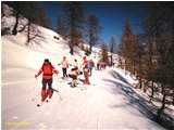  Scialpinismo: cima Missun - Altro - <2001 - Altro - Foto varie - Voto: Non  - Last Visit: 13/4/2024 19.40.44 