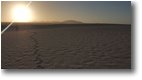 Foto Altro - Panorami - Le dune di Corralejo: tramonto nel deserto