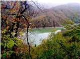  Autunno a Chiapari: lago Busalletta dopo le prime piogge - Busalla&Ronco Scrivia - 2018 - Fiori&Fauna - Estate - Voto: Non  - Last Visit: 29/9/2023 9.4.1 