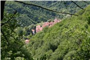  Un’apertura nel bosco verso l’abitato di Pietrafraccia  - Busalla&Ronco Scrivia - 2006 - Paesi - Estate - Voto: Non  - Last Visit: 28/9/2023 12.52.15 