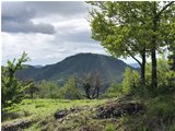  M. Reale visto dalla Val Vobbia - Busalla&Ronco Scrivia - 2019 - Panorami - Inverno - Voto: Non  - Last Visit: 21/9/2023 14.9.24 