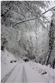  Neve a novembre: Pratopriore (Casella) - Casella - 2009 - Boschi - Inverno - Voto: Non  - Last Visit: 25/9/2023 18.20.1 