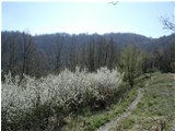  Un tratto dell' Alta Via dei Monti Liguri sopra Crocetta d Orero - Casella - 2002 - Panorami - Estate - Voto: Non  - Last Visit: 21/9/2023 18.9.1 