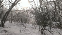  Intrico di nebbia e neve, verso M. Schigonzo - Crocefieschi&Vobbia - 2014 - Boschi - Inverno - Voto: 10   - Last Visit: 22/1/2024 5.41.29 