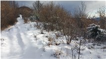  Neve salendo verso il monte Schigonzo - Crocefieschi&Vobbia - 2016 - Boschi - Inverno - Voto: Non  - Last Visit: 28/9/2023 7.53.17 