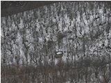  Seccatoio di castagne nel bosco, nella neve - Crocefieschi&Vobbia - 2005 - Boschi - Inverno - Voto: Non  - Last Visit: 29/10/2023 17.9.29 