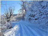  Strada innevata tra Crebaia e Alpe di Vobbia - Crocefieschi&Vobbia - 2021 - Boschi - Inverno - Voto: Non  - Last Visit: 13/4/2024 18.44.57 