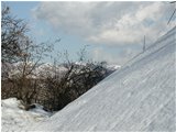  Verso Alpe di Vobbia nella neve - Crocefieschi&Vobbia - 2004 - Boschi - Inverno - Voto: Non  - Last Visit: 25/9/2023 21.9.25 