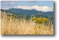 Fotografie Crocefieschi&Vobbia - Panorami - Monte Antola visto dal Monte Proventino