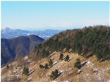  Spruzzata di enve sulla pineta del Monte Proventino - Crocefieschi&Vobbia - 2020 - Panorami - Inverno - Voto: Non  - Last Visit: 25/5/2024 8.18.30 