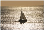  Backlight sail - Genoa - 2004 - Landscapes - Other - Voto: Non  - Last Visit: 25/5/2024 8.32.2 