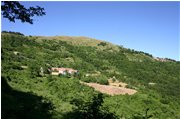  Serrato e Fasciou sulle pendici del Monte Banca - Montoggio - 2005 - Paesi - Estate - Voto: Non  - Last Visit: 26/2/2024 8.36.52 