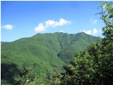  I boscosi pendii settentrionali del Monte Bano - Montoggio - 2012 - Panorami - Estate - Voto: Non  - Last Visit: 13/4/2024 20.22.38 
