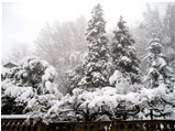  6 Febbraio: prima neve a Savignone - Savignone - 2018 - Altro - Inverno - Voto: Non  - Last Visit: 3/3/2024 18.25.39 