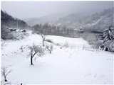  Neve a Ponte di Savignone - Savignone - 2022 - Altro - Inverno - Voto: Non  - Last Visit: 25/5/2024 8.46.22 