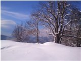  Salendo al Monte Pianetto - Savignone - 2013 - Altro - Inverno - Voto: Non  - Last Visit: 29/1/2024 7.26.15 