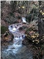  Verso le sorgenti del rio Piambertone - Savignone - 2011 - Altro - Inverno - Voto: Non  - Last Visit: 26/9/2023 0.42.19 