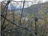  Cadono le foglie: Savignone appare oltre il bosco - Savignone - 2002 - Boschi - Inverno - Voto: Non  - Last Visit: 27/1/2024 17.14.41 