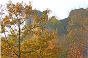  Castello Fieschi: un po’ di colore sul grigio dei ruderi - Savignone - 2007 - Boschi - Inverno - Voto: Non  - Last Visit: 18/9/2023 12.39.8 