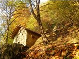  Colori d’autunno nei boschi di Savignone - Savignone - 2018 - Boschi - Inverno - Voto: Non  - Last Visit: 5/10/2023 8.37.24 