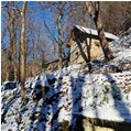  La prima (e forse l'ultima?) nevicata - Savignone - 2024 - Boschi - Inverno - Voto: Non  - Last Visit: 13/4/2024 19.2.22 