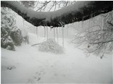  Neve e galaverna - Savignone - 2004 - Boschi - Inverno - Voto: Non  - Last Visit: 24/12/2023 11.18.33 
