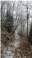  Primi accenni d’inverno nei boschi - Savignone - 2017 - Boschi - Inverno - Voto: Non  - Last Visit: 29/9/2023 13.47.41 