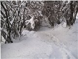  Sentiero Casella-Monte Maggio: chiuso per neve - Savignone - 2010 - Boschi - Inverno - Voto: Non  - Last Visit: 28/9/2023 16.11.13 