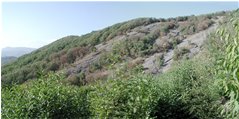 Drought: Pianetto woods - Savignone - 2003 - Landscapes - Summer - Voto: Non  - Last Visit: 23/9/2023 19.19.50 
