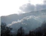  Snow and rime near San Bartolomeo - Savignone - 2006 - Landscapes - Winter - Voto: Non  - Last Visit: 25/9/2023 17.18.18 