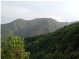  Agosto 2003: siccità nei boschi - Savignone - 2003 - Panorami - Estate - Voto: 7    - Last Visit: 29/9/2023 23.5.1 