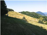  Estate sul Monte Cappellino - Savignone - 2015 - Panorami - Estate - Voto: Non  - Last Visit: 13/4/2024 20.31.44 