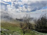  Nebbie mattutine - Montemaggio - Savignone - 2021 - Panorami - Inverno - Voto: Non  - Last Visit: 3/3/2024 12.0.23 