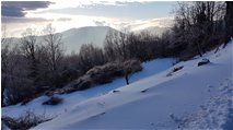  Neve blu - Savignone - 2018 - Panorami - Inverno - Voto: Non  - Last Visit: 27/9/2023 14.40.51 