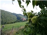  Ricci di castagno: l’autunno è alle porte - Savignone - 2005 - Panorami - Estate - Voto: 10   - Last Visit: 25/5/2024 9.10.16 