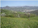  Un altra primavera a Gualdrà - Savignone - 2002 - Panorami - Estate - Voto: Non  - Last Visit: 25/9/2023 5.6.5 