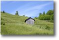 Fotografie Savignone - Panorami - Variazioni stagionali: prati del Monte Cappellino in maggio