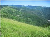  Boschi con i primi segnali del parassita lymantria in Val Brevenna - ValBrevenna - 2012 - Panorami - Estate - Voto: Non  - Last Visit: 13/4/2024 20.23.4 