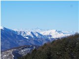  Pineta del Proventino, Monte Tobbio e Monviso sotto la neve - ValBrevenna - 2021 - Panorami - Inverno - Voto: Non  - Last Visit: 13/4/2024 19.9.0 