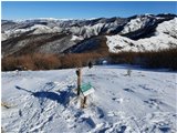  Quasi in vetta: M. Proventino con neve - ValBrevenna - 2021 - Panorami - Inverno - Voto: Non  - Last Visit: 13/4/2024 19.9.1 
